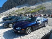 jaguar alle tre cime di lavaredo (2/26)